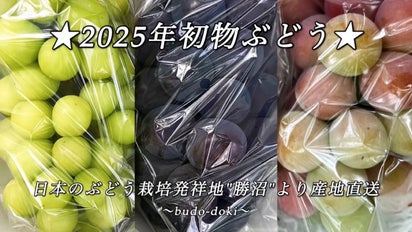 2025年初物ぶどう〜日本のぶどう栽培発祥の地