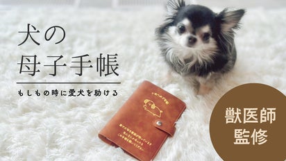 犬の情報全てこの1冊に！「もしも」に備える、犬の母子手帳｜いぬ