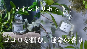 【天然精油配合】仕事に追われる毎日のためのマインドリセット香水