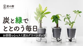 土不要！ブランド炭が水と空気のバランスを保つ。ズボラでも枯らさない新感覚グリーン