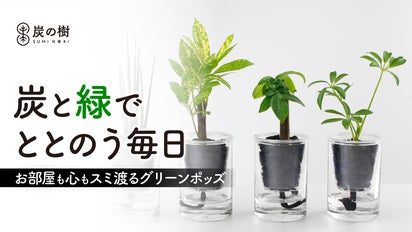 土不要！ブランド炭が水と空気のバランスを保つ。ズボラでも枯らさない