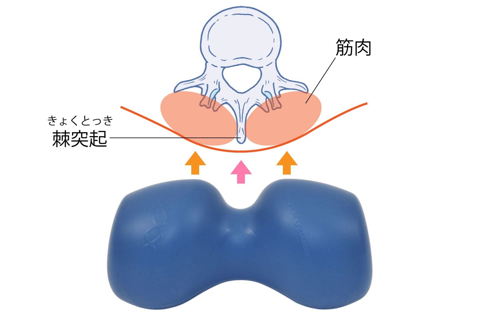 プロの技を再現した】コンパクト整体ツール第2弾！新感覚の整体習慣を