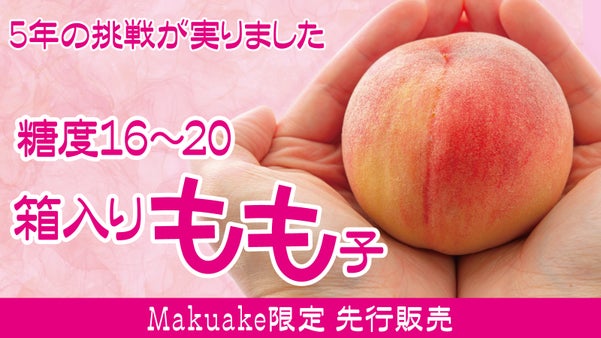 【限定先行販売】一口で恋に落ちる桃、糖度20％の衝撃「箱入りもも子」