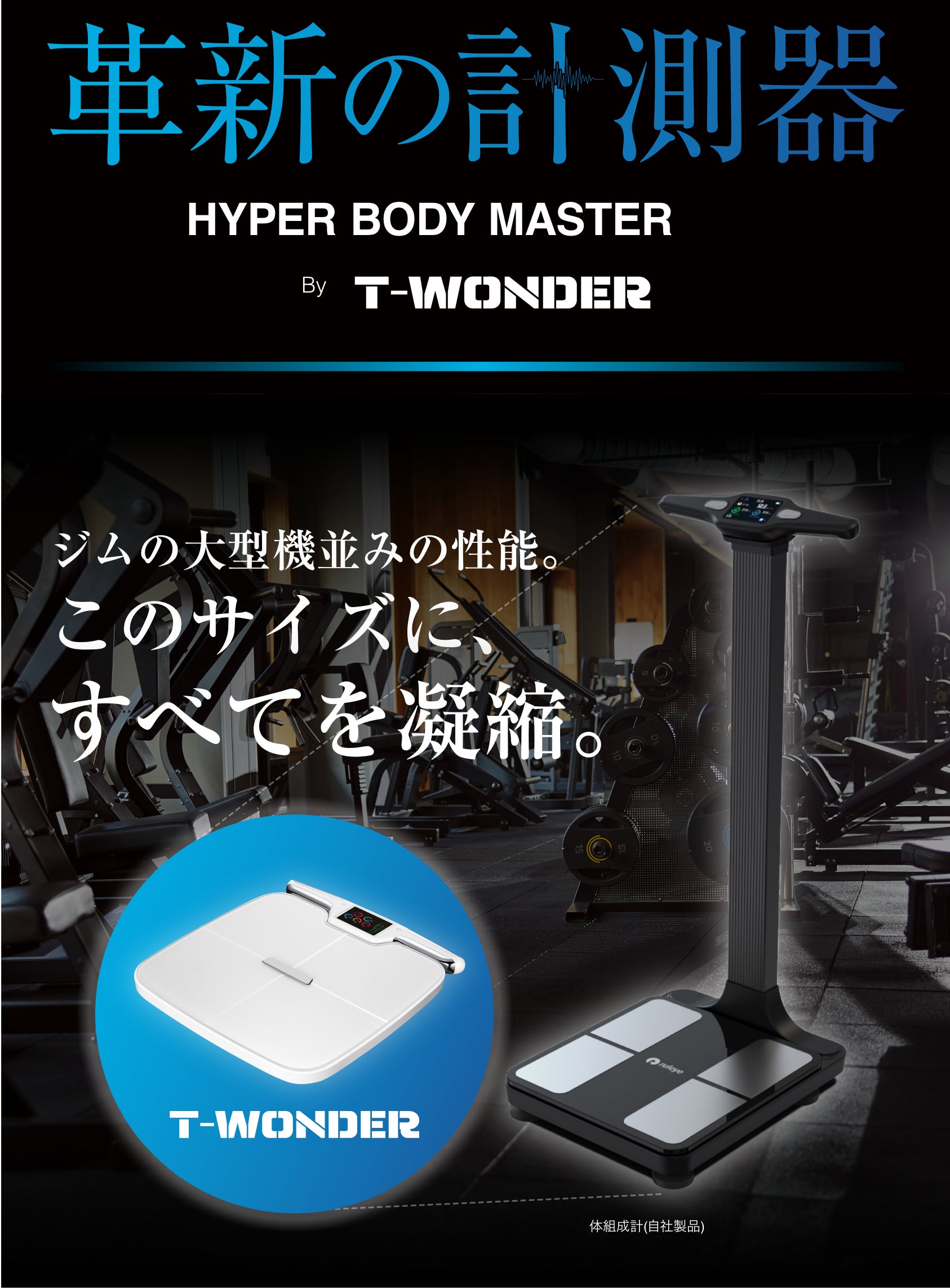 pt900 電磁波本舗 BODY SMARTER ボディスマーター ネックレス pt900 電磁波本舗 BODY SMARTER ボディスマーター ネックレス