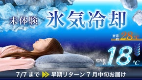 冷凍ジェルの冷気が頭を冷却！室温マイナス約10℃の氷気冷却まくら「グランクール」