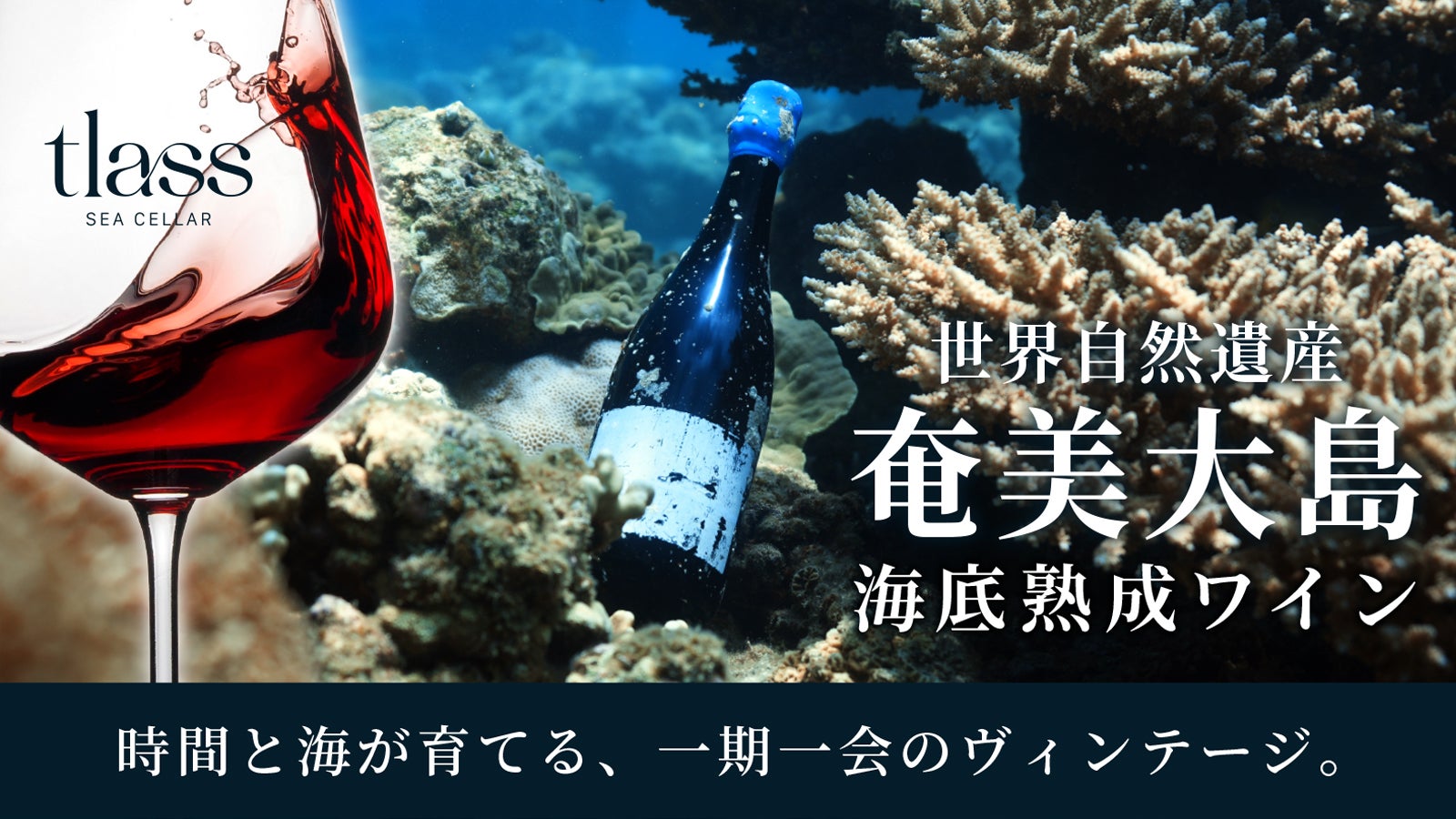 世界に各48本。“奄美大島の海が育てた”熟成ワイン、2nd Edition登場