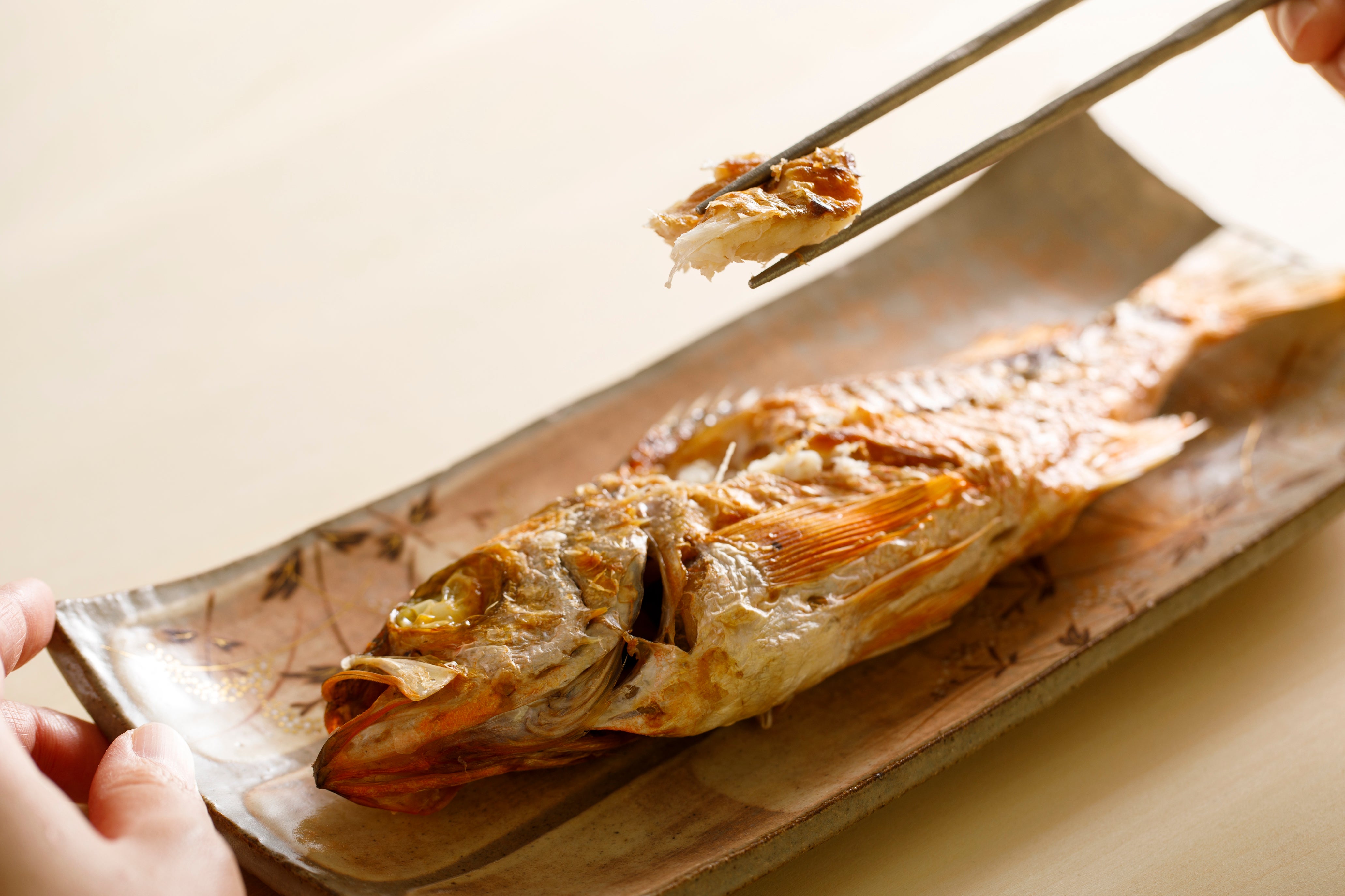 魚の旨みを逃さず摘みやすい。軽量20gで毎日の食事を格上げする一生