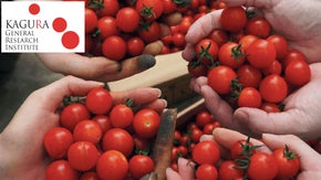 科学の力と生産者の情熱が生んだ奇跡の還元電位マイナスの神楽のミニトマト