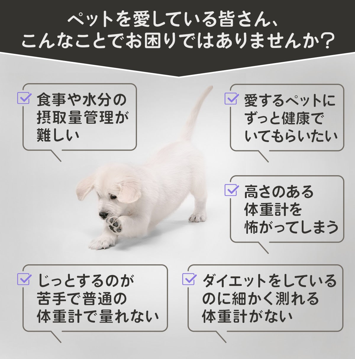 グレーの犬用 体重計 楽天市場】ペット ペット用体重計 ペット体重計 デジタル体重計 ペット