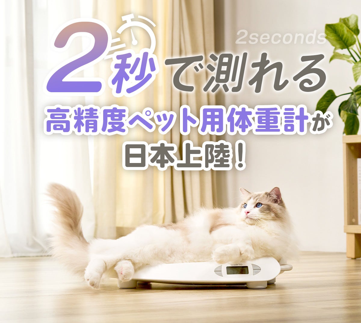 多種ペットに対応】2秒で測れるペット用体重計「Pro Oserio」が新登場