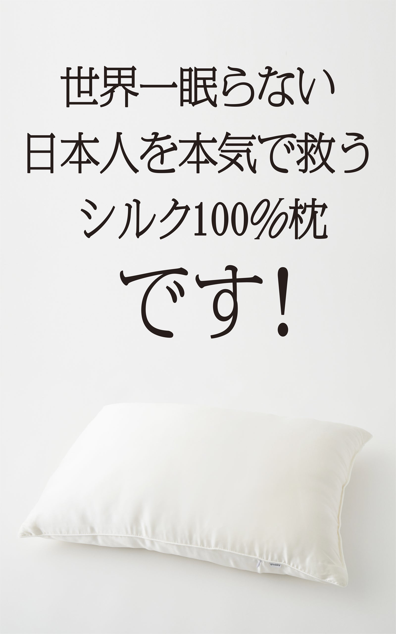 世界一眠らない日本人を本気で救う シルク100%枕とヒアルロン酸配合枕