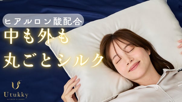 世界一眠らない日本人を本気で救う シルク100%枕とヒアルロン酸配合枕カバー