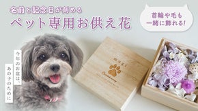 【ペットロスを乗り越える】飼い主様に寄り添ったフラワーブランド