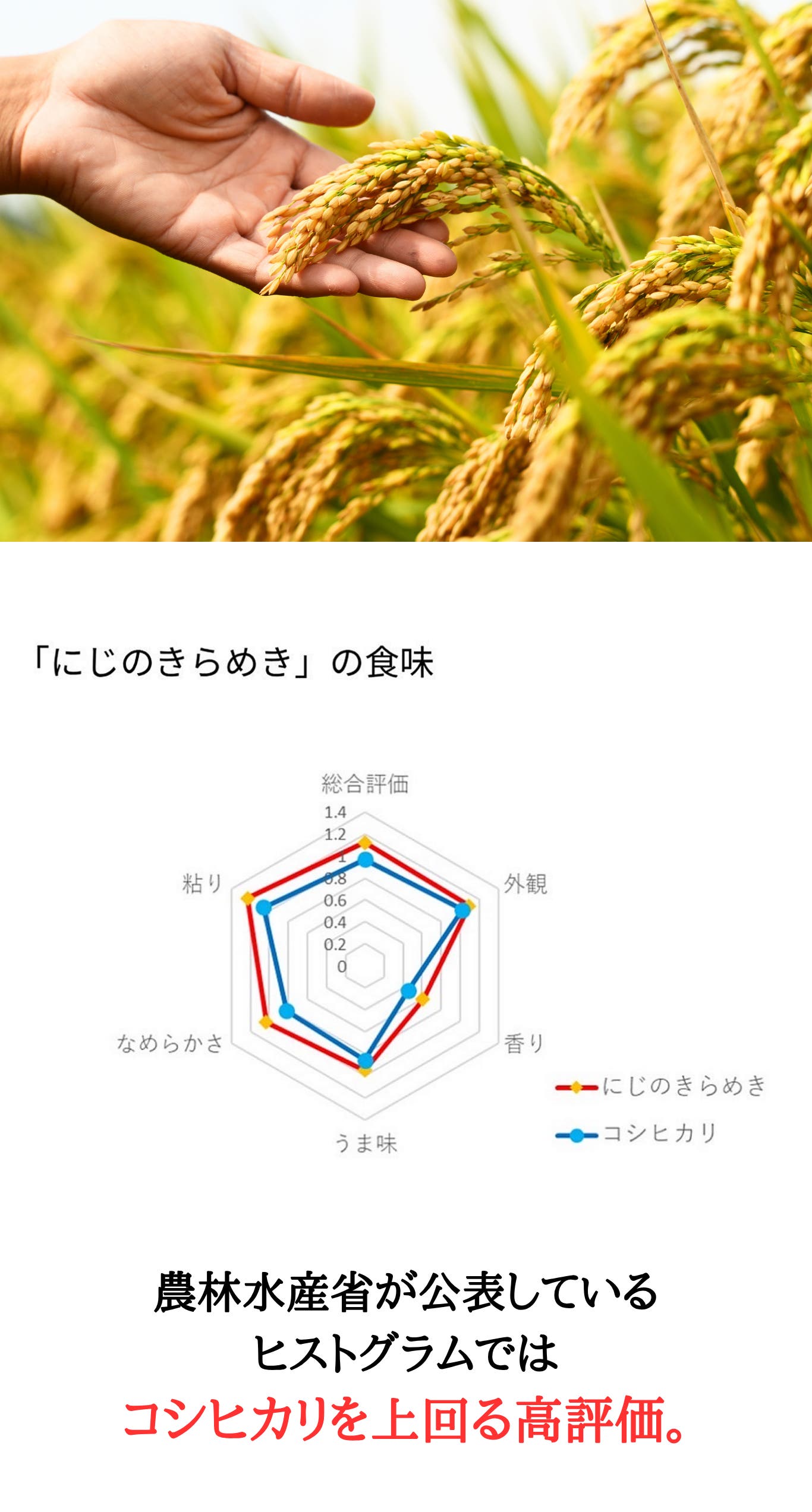 【コシヒカリと同等の極良食味】新品種