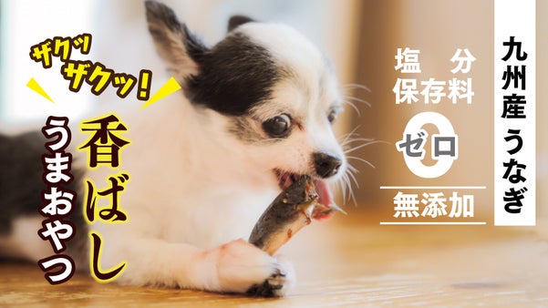 【九州産うなぎの頭使用】養鰻家がつくった犬のおやつ『うなまる』で保護犬応援へ
