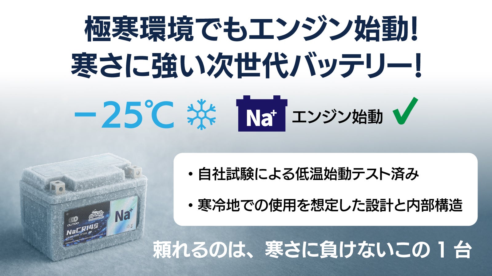 高速充電池 ZEXUS専用充電池 ZR-01＋ 公式限定ステッカー（小サイズ）付