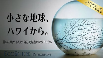 アンコール】【水換え・餌やり不要】あなただけの小さな海。自己完結型