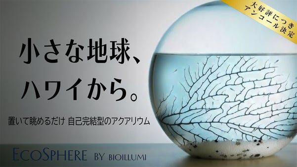 【アンコール】【水換え・餌やり不要】あなただけの小さな海。自己完結型アクアリウム
