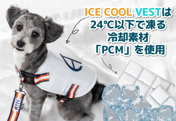愛犬とお揃いで暑さ対策！冷たい水で凍る冷却素材「PCM」でひんやりお