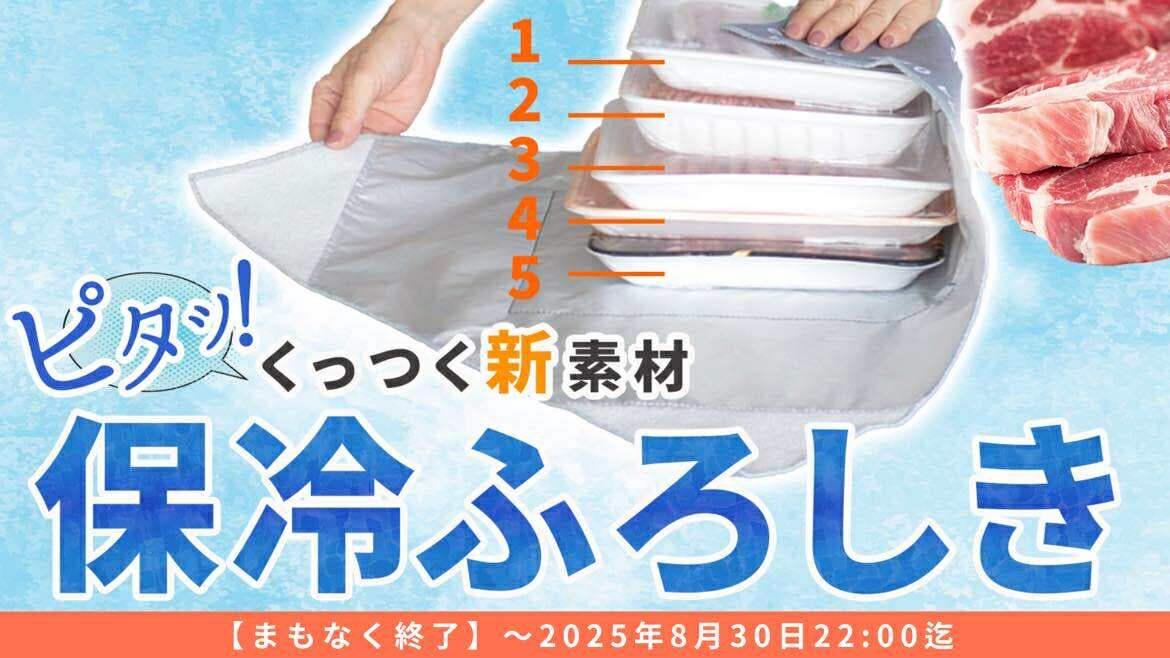 お肉お弁当アイス、これ1枚で冷たさキープ。エコバッグと保冷ふろしき