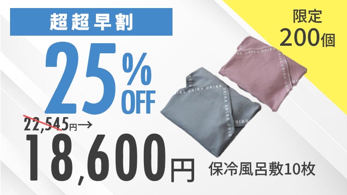 お肉お弁当アイス、これ1枚で冷たさキープ。エコバッグと保冷ふろしき