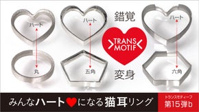 不思議な錯覚体験を、カワイイ猫耳リングで！みんなハートになるシルバーリング3種！