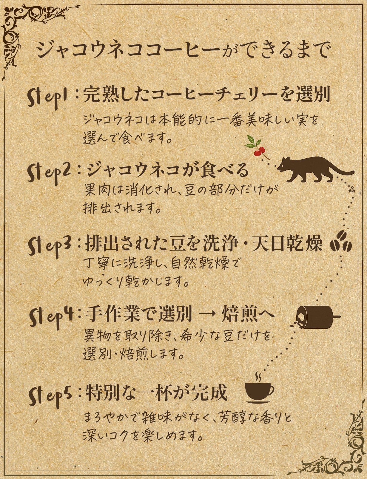 世界三大幻コーヒーを日常に】幻のジャコウネココーヒー。老舗食品会社