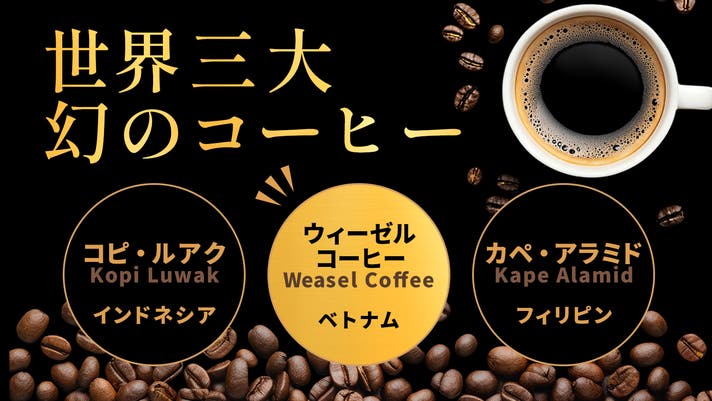 ✨幻のコーヒー✨現地仕入オーガニックコピルアック　ジャコウネココーヒー　200g ✨幻のコーヒー✨現地仕入オーガニックコピルアック ジャコウ