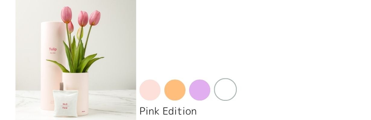花瓶いらずの上質ギフト】香りと物語を届けるチューリップ｜マクアケ