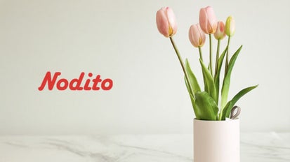 花瓶いらずの上質ギフト】香りと物語を届けるチューリップ｜マクアケ