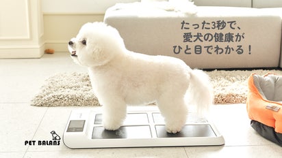 愛犬の体重・体長・足圧を3秒で測定！健康管理デバイス「PetBalans