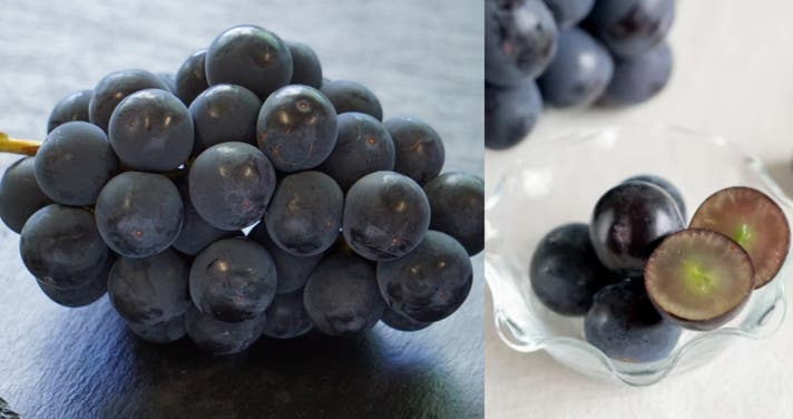 常識を覆す 硬めで甘い 桃 糖度保証と農家35年の執念が生んだ幻の種