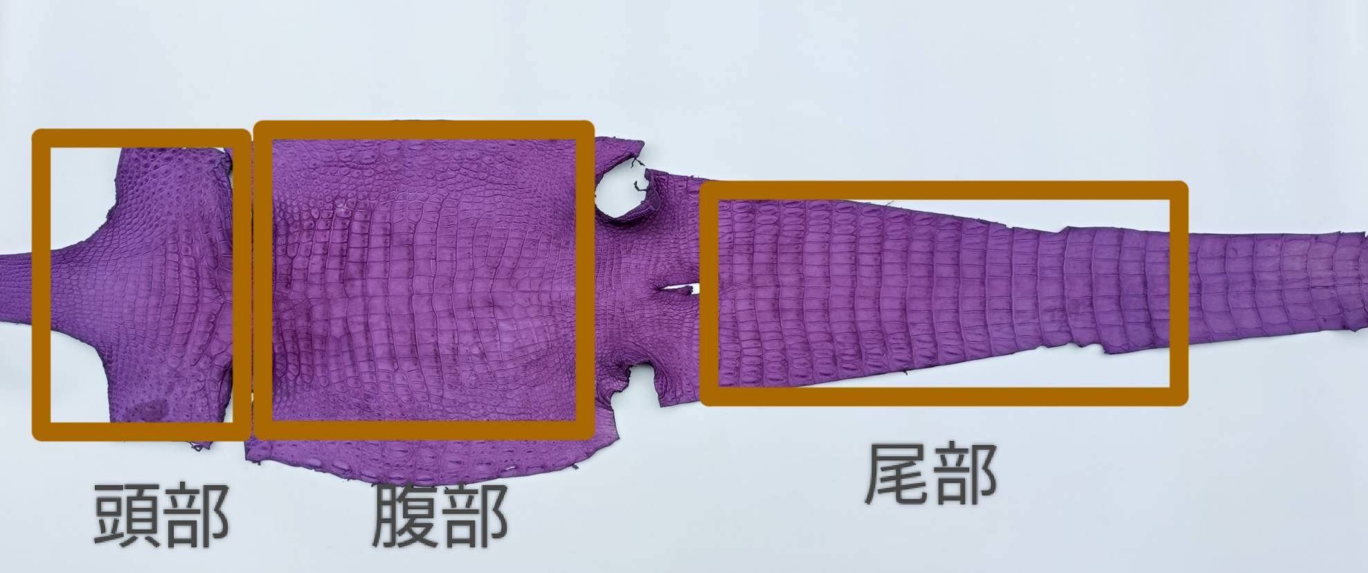 千年の紫 日本古来の高貴な色彩×革の王者クロコダイルが織りなす至高の