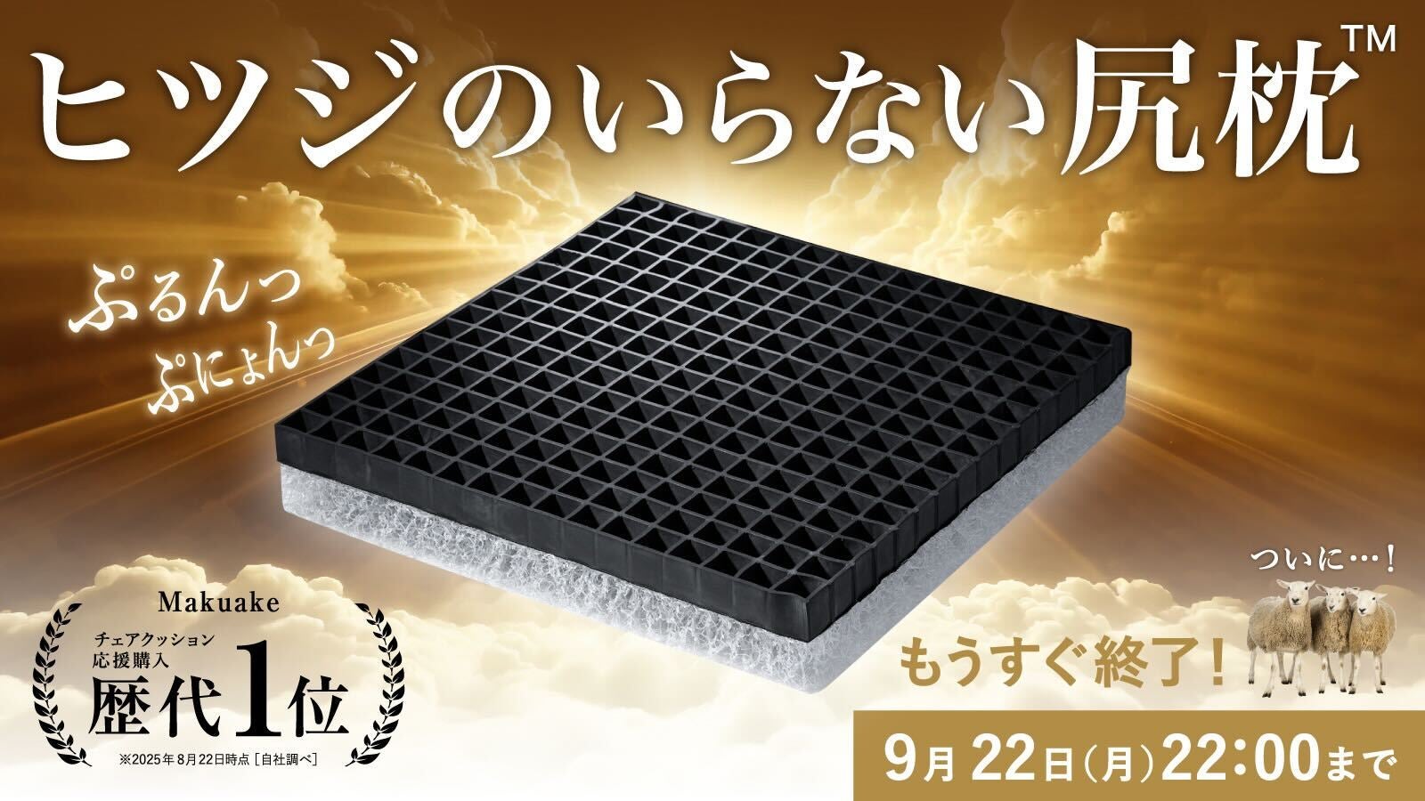 ★ヒツジのいらない枕★調律★ makuake購入 新商品】「ヒツジのいらない枕®-調律-」が登場 – ヒツジの