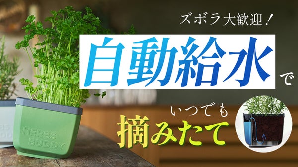 切って、すぐ料理に。キッチンに置けるハーブ栽培ポット【HERBS BUDDY】