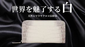 【SACRIFICE】天然ヒマラヤクロコが放つ圧倒的存在感