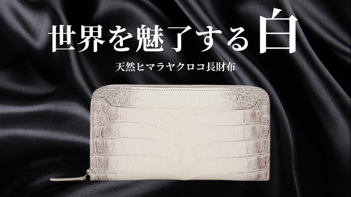 【SACRIFICE】天然ヒマラヤクロコが放つ圧倒的存在感