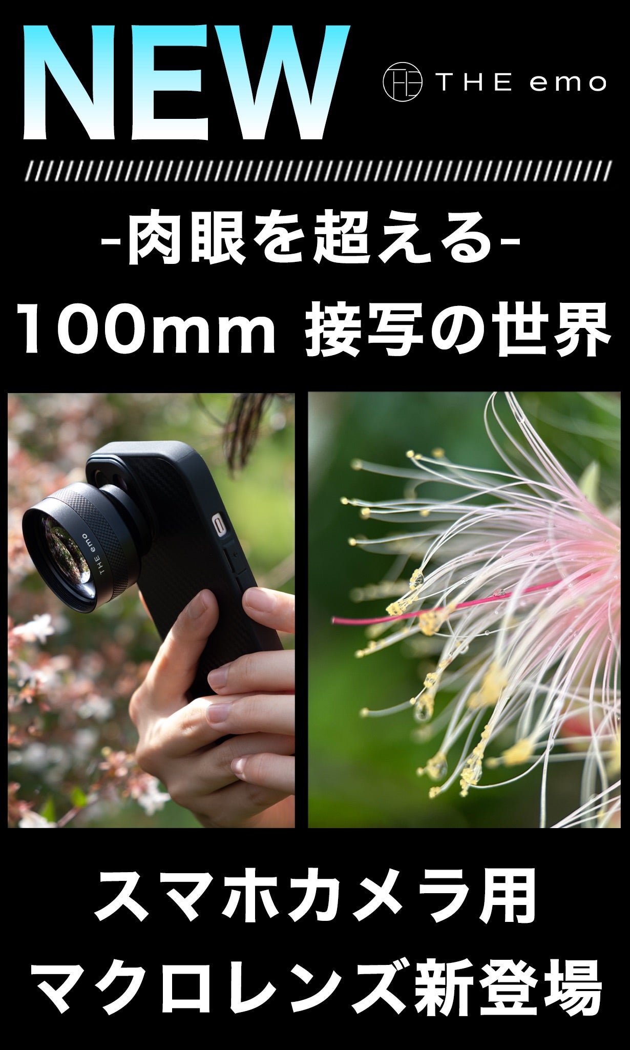 値下げ　マクロ 100-300mm レンズ 000000002134_TO3wJLt.jpg