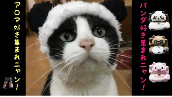 こんなアロマストーン見たことないニャン！　【 &rdquo;ZOO&rdquo;アロマストーン】