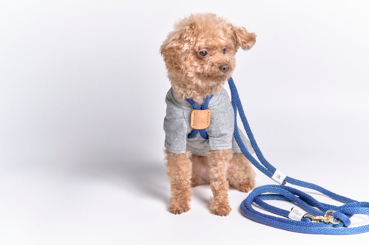 新色！】引張強度をさらにUP！防水チューブ仕様で愛犬との毎日のお散歩