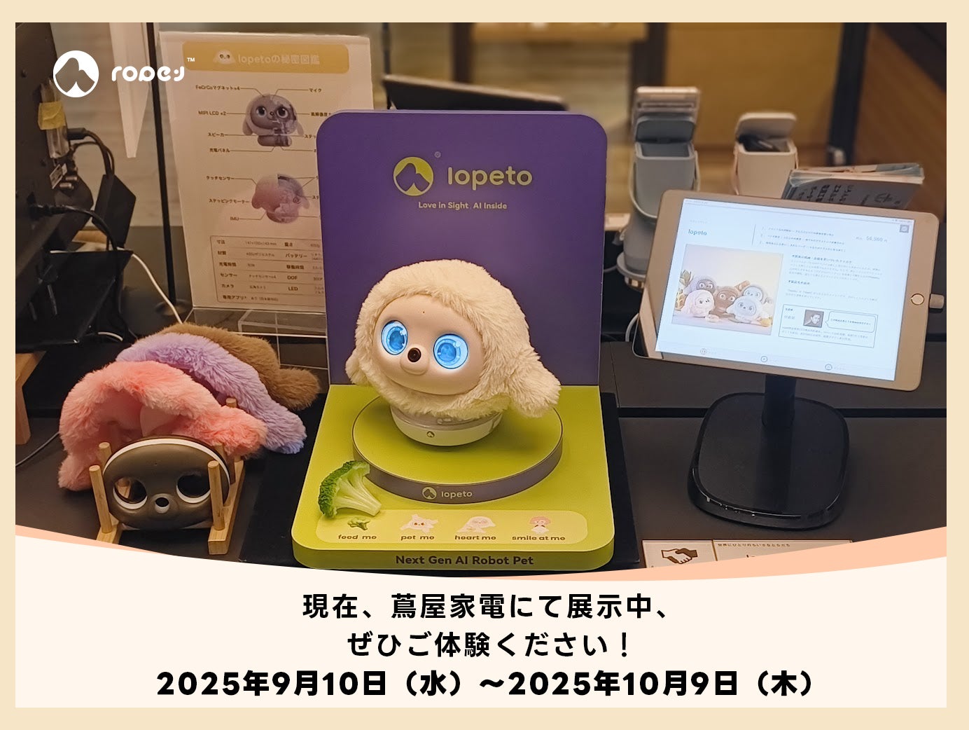 【禰豆子】AIペットlopeto Amazon.co.jp: Lopeto 感情成長型AIペット デスクトップコンパニオン