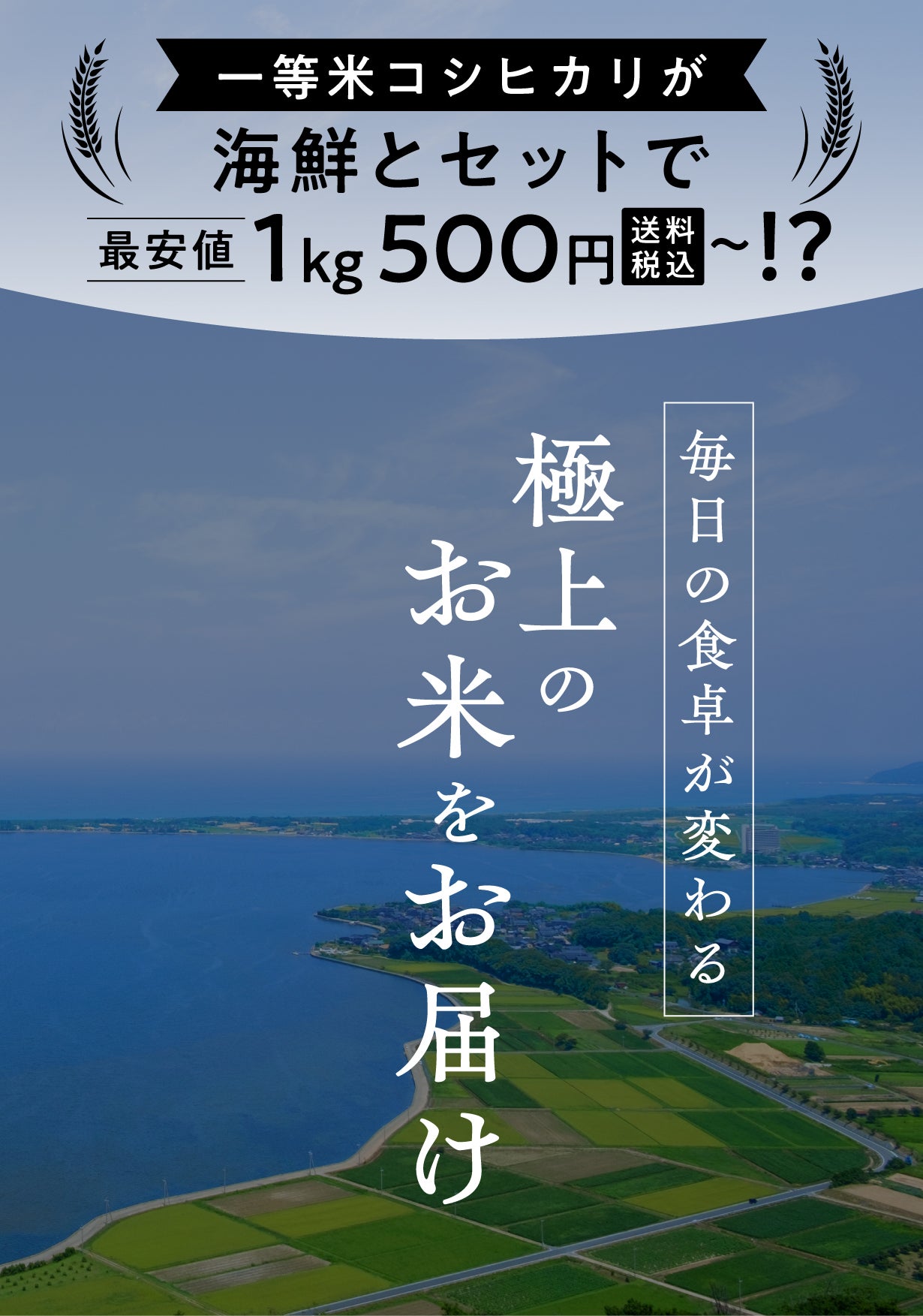 一等米コシヒカリ1kg800円〜!?甘み溢れるお米を価格変わらず定期 一等米コシヒカリ1kg800円〜!?甘み溢れるお米を価格変わらず定期