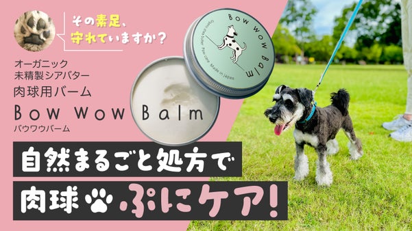 肉球ぷにぷに！オーガニック未精製シアバターの犬用ケアバーム