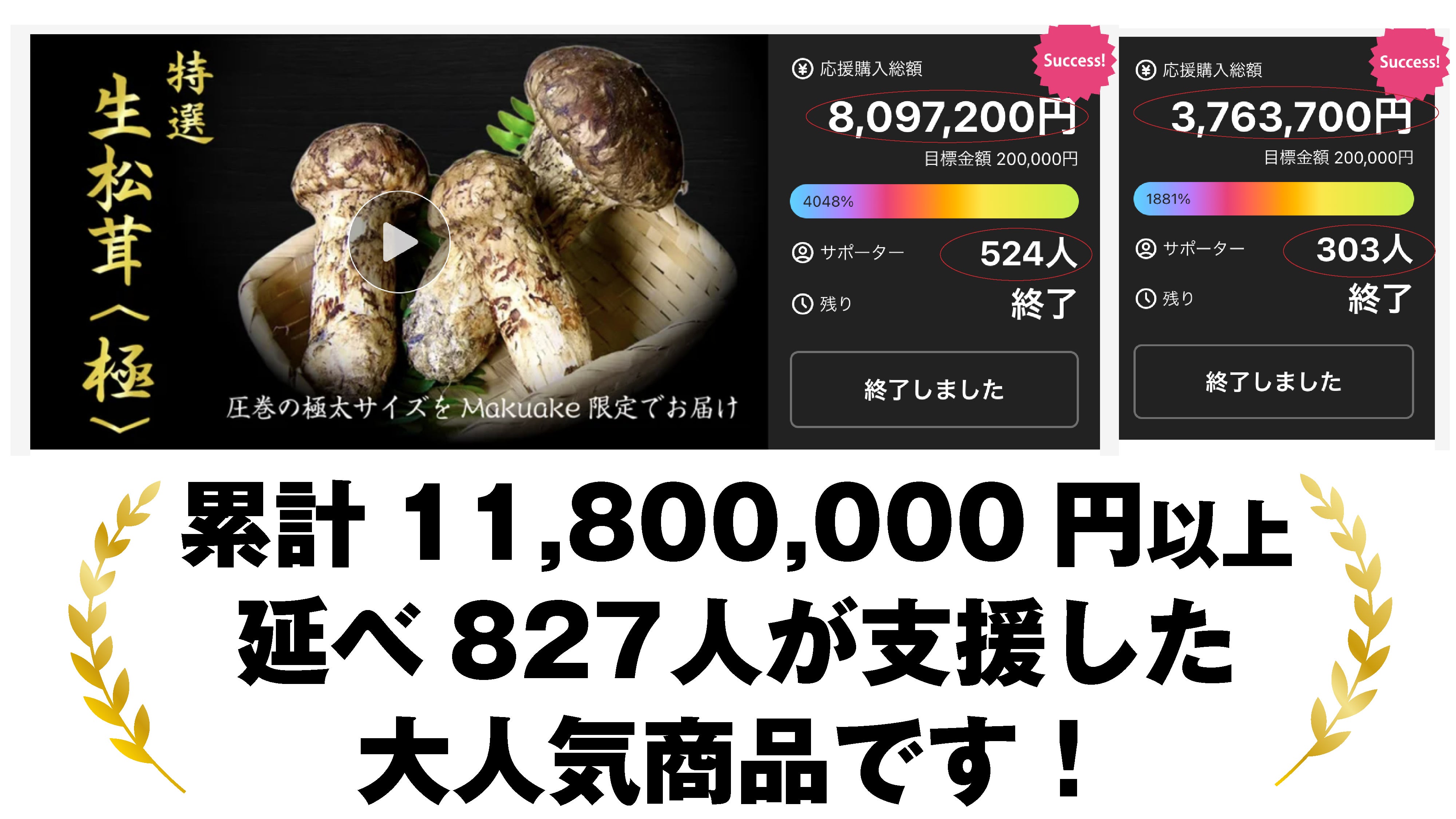アンコール】世界最大級の松茸産地直送！元プロが届ける「生松茸