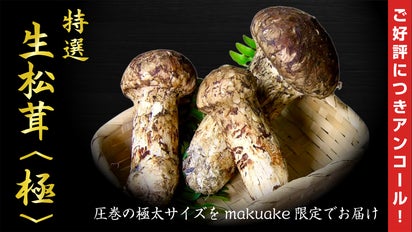 アンコール】世界最大級の松茸産地直送！元プロが届ける「生松茸〈極