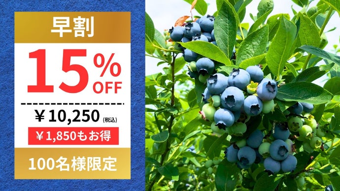 岩手県産】夏にさっぱり美味しい果実。大自然の採れたて高級