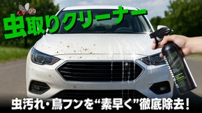 【カーケア革命】車の虫の死骸・鳥フン・頑固な汚れを強力除去！虫取りクリーナー