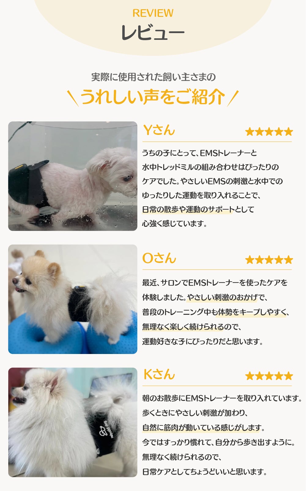 ペット革命】やさしい刺激で愛犬の歩行と健康管理を支えるペット用EMS