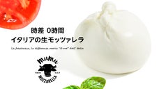 あなたの食べたことのない、イタリアと鮮度時差&plusmn;0時間の本物の生モッツァレラ。