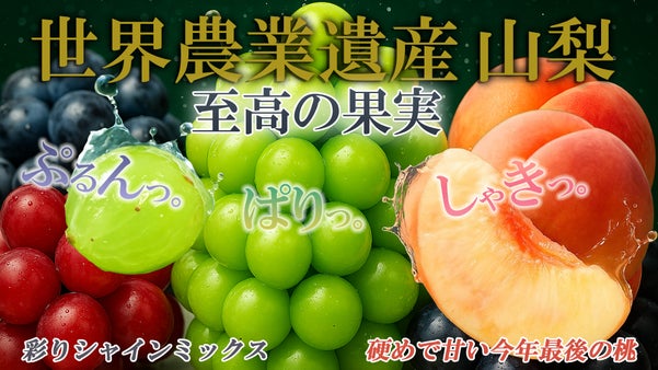 400年の歴史と技術が生んだ 山梨の逸品 シャインマスカット 希少 ぶどう 桃